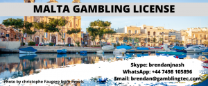 cost of malta gaming license